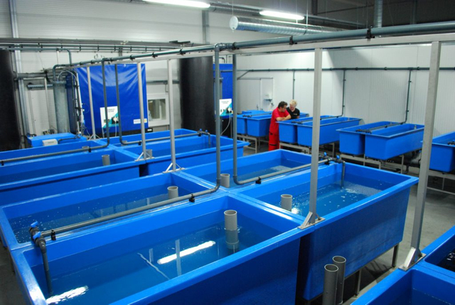 Fiberglass Aquarium Tank for Fish Farming