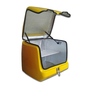 Custom Made Fiberglass Motorcycle Box FRP Delivery Box for Scooter