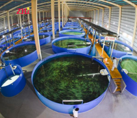 Fiberglass fish tank