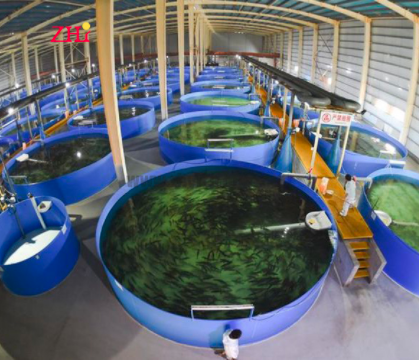 Fiberglass aquaculture fish tank large volumes