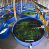 Fiberglass Fish Tank Breeding Fish Tanks