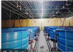 Fiberglass aquaculture fish tank large volumes