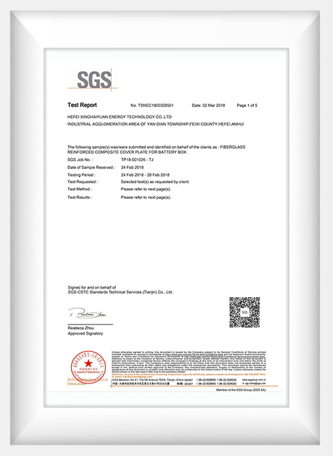 ZHY SGS test report